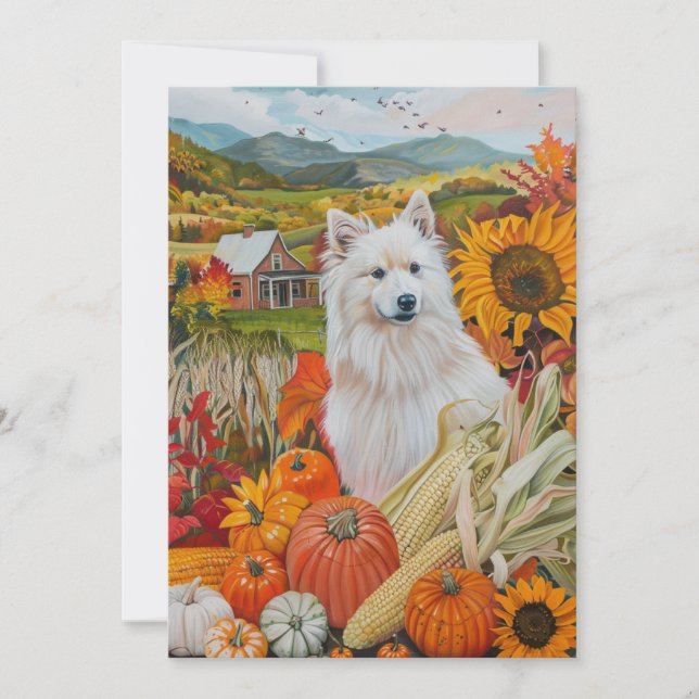 American Eskimo Autumn Harvest Thanksgiving Dog Holiday Card (Front)