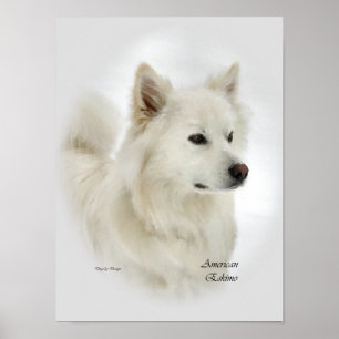 American Eskimo Dog Art Prints