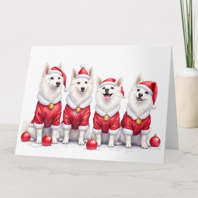 American Eskimo Dog Christmas Dress Santa Hat Card (Front)