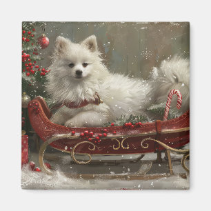 American Eskimo Dog Christmas Festive Magnet