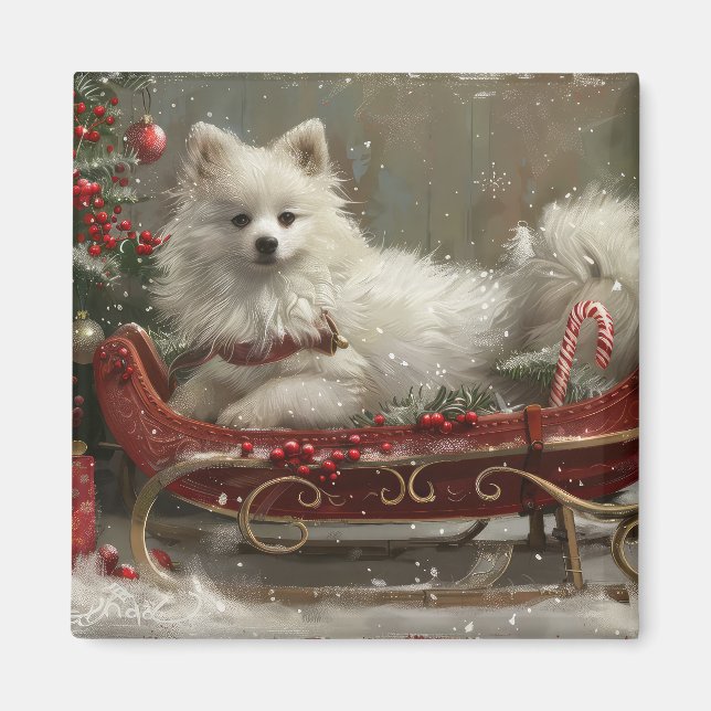 American Eskimo Dog Christmas Festive  Magnet (Front)