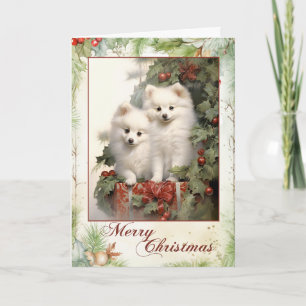 American Eskimo Dog Christmas Holiday Card