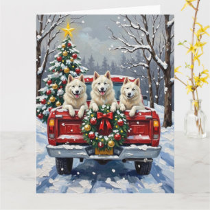 American Eskimo Dog Christmas Red Truck Holiday Card