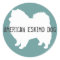 American Eskimo Dog