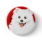 American Eskimo Dog Colour Block