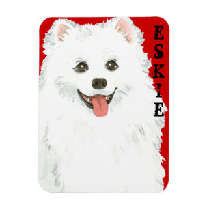 American Eskimo Dog Colour Block Magnet