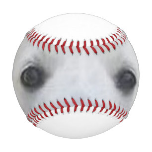 American_Eskimo_Dog eyes Baseball