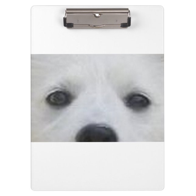 American_Eskimo_Dog eyes Clipboard (Front)