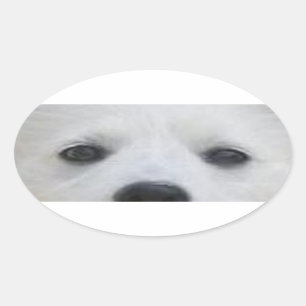 American_Eskimo_Dog eyes Oval Sticker