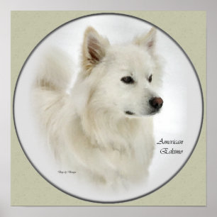American Eskimo Dog Gifts Art Poster