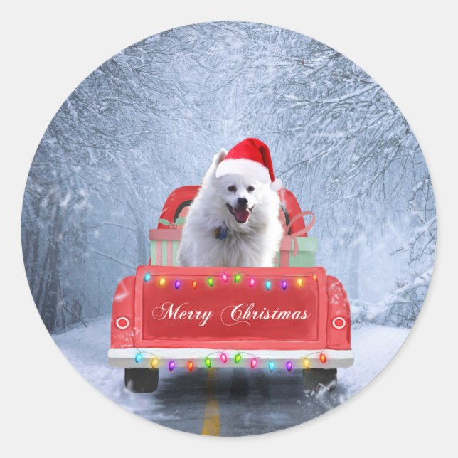 American Eskimo Dog in Snow sitting in Christmas Classic Round Sticker (Front)