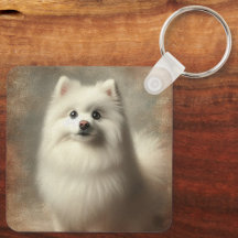 American Eskimo Dog