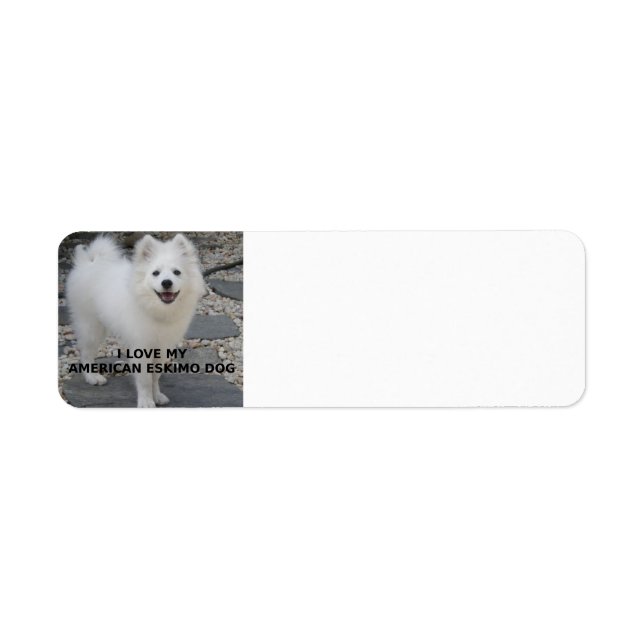 American_Eskimo_Dog_love w pic (Front)