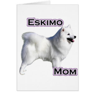 American Eskimo Dog Mum 4