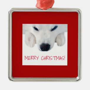 American Eskimo Dog Ornament / Spitz Dog Ornament
