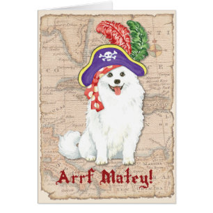 American Eskimo Dog Pirate Card