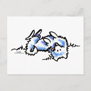 American Eskimo Dog Play Dead Postcard