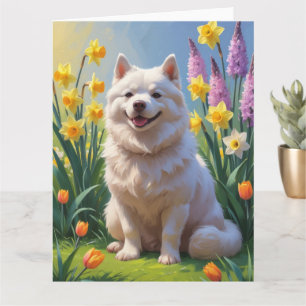 American Eskimo Dog Spring Flowers Painting Card