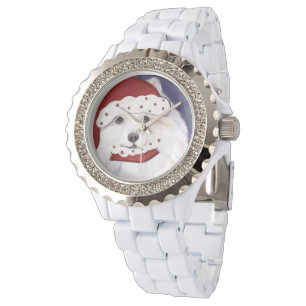 American Eskimo Dog Watch