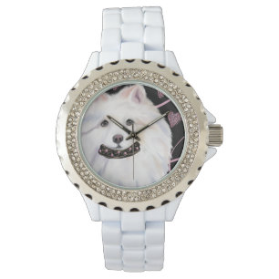 American Eskimo Dog  Watch