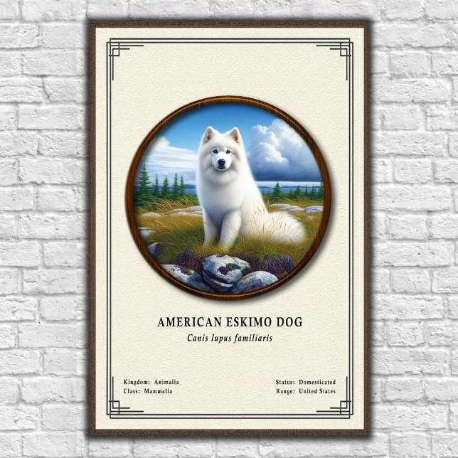 American Eskimo Dog Zoology Series Poster (Creator Uploaded)