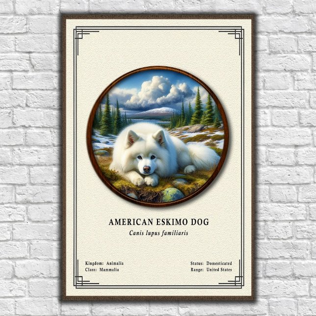 American Eskimo Dog Zoology Series Poster (Creator Uploaded)