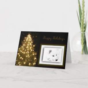 American Eskimo Holiday Card