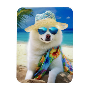 American Eskimo on Beach,summer gift for dog lover Magnet