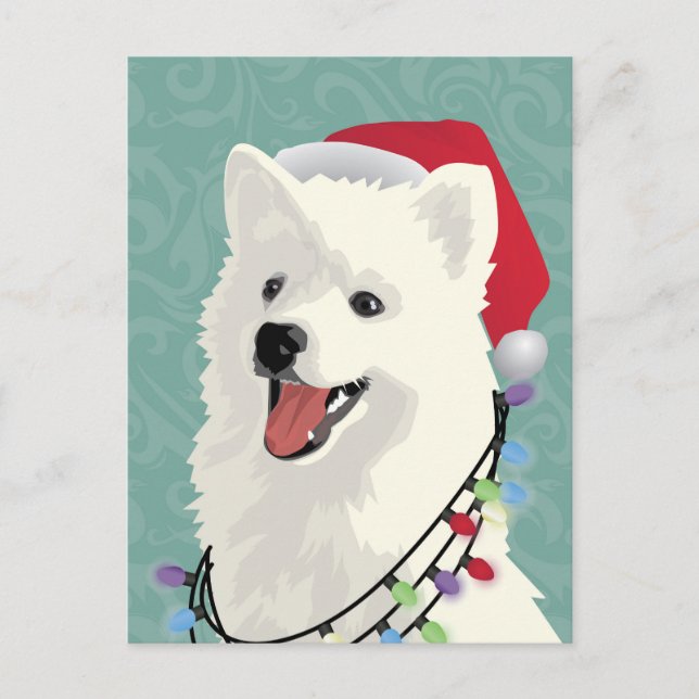American Eskimo Samoyed Cute Puppy Dog Christmas Holiday Postcard (Front)