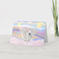 American Eskimo Spitz