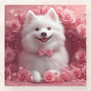 American Eskimo with Roses - Valentine's Day Glass Coaster