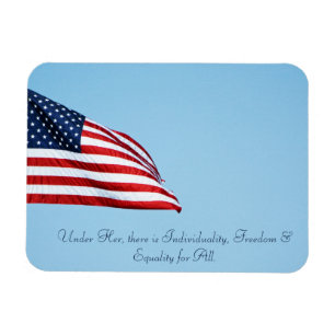 American Flag 2412 Magnet