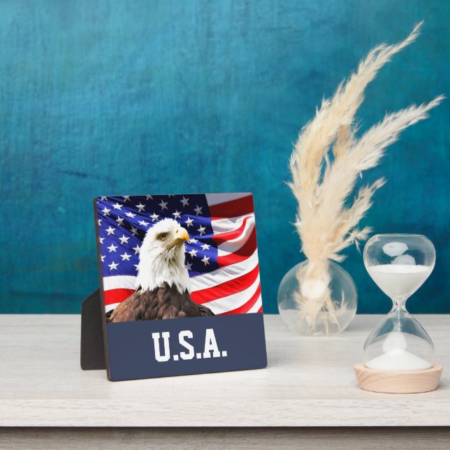 American Flag and Bald Eagle Plaque (Insitu)