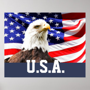 American Flag and Bald Eagle Poster