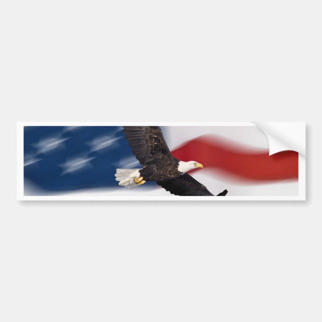 American flag and eagle bumper sticker (Front)