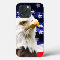 American Flag and Eagle