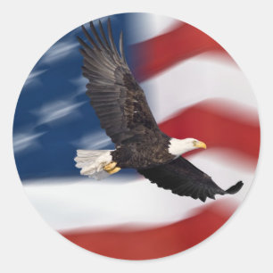 American flag and eagle classic round sticker