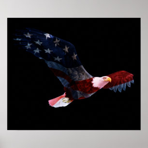 American Flag Bald Eagle Poster