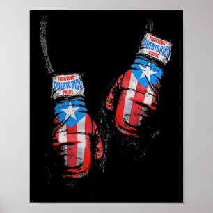 American Flag Boxing Usa Gloves Gym Boxer Fitness Poster