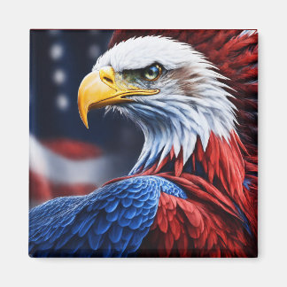 American flag colour eagle frame print magnet