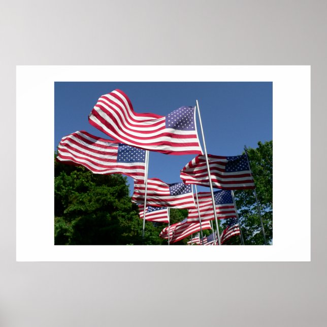 American Flag Display Poster (Front)
