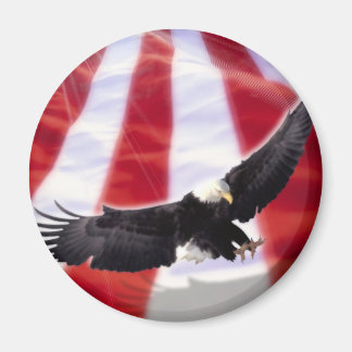 American Flag & Eagle Magnet