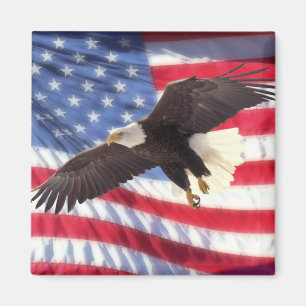 American Flag & Eagle Magnet