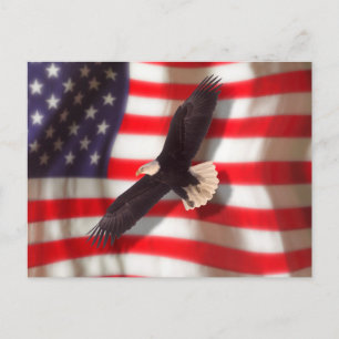 American Flag & Eagle Postcard