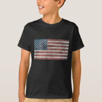 American Flag Eagle USA