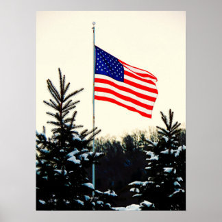 American Flag in Snow Poster