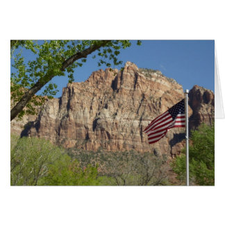 American Flag in Zion National Park I