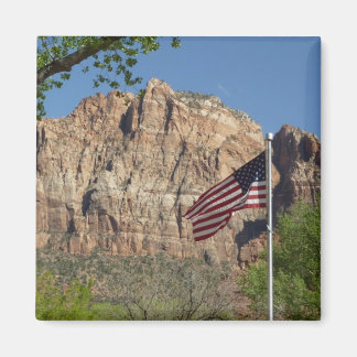 American Flag in Zion National Park I Magnet