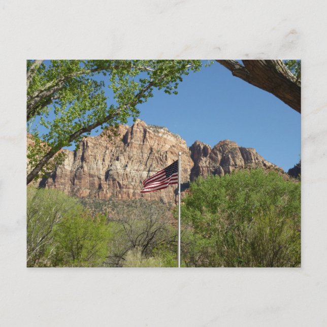 American Flag in Zion National Park II Postcard (Front)