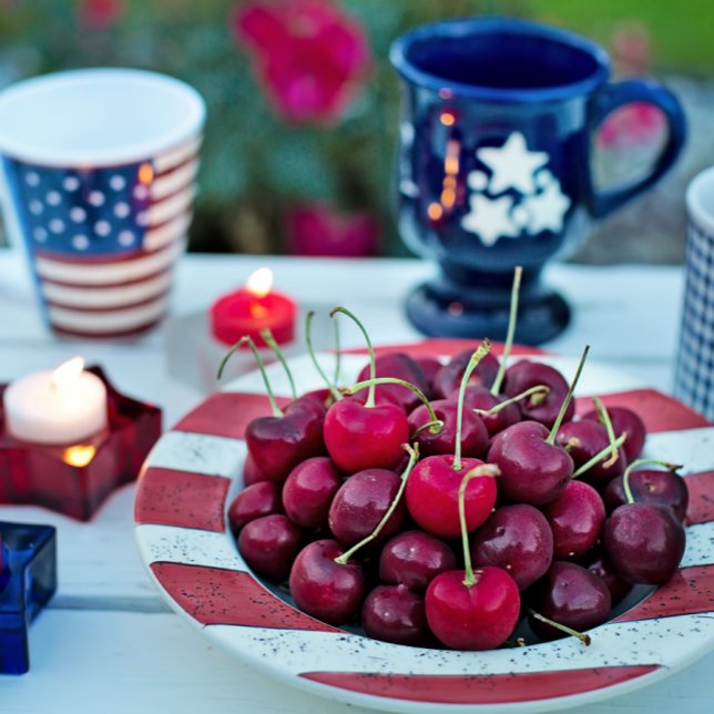 American Flag Paper Plates (Creator Uploaded)